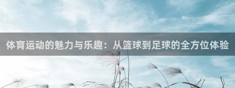 J9官方正版app娱乐代理怎么样：体育运动的魅力与乐