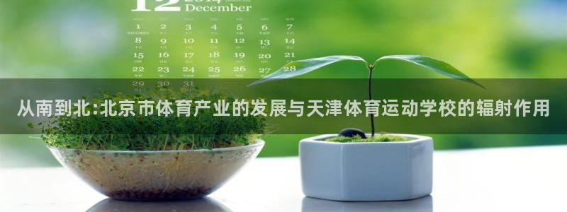 J9官网下载平台注册要钱吗：从南到北:北京市体育产业