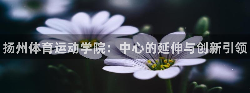 J9官网下载平台是正规平台吗安全吗：扬州体育运动学院