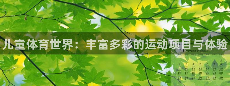 J9官方正版app娱乐40996：儿童体育世界：丰富