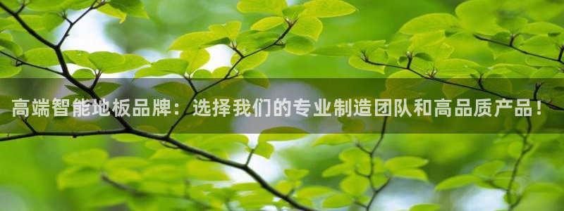 J9官网下载软件：高端智能地板品牌：选择我们的专业制