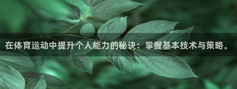 J9官网下载招商电话是多少：在体育运动中提升个人能力