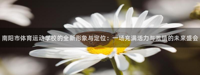 J9官方正版app娱乐首页网站大全：南阳市体育运动学