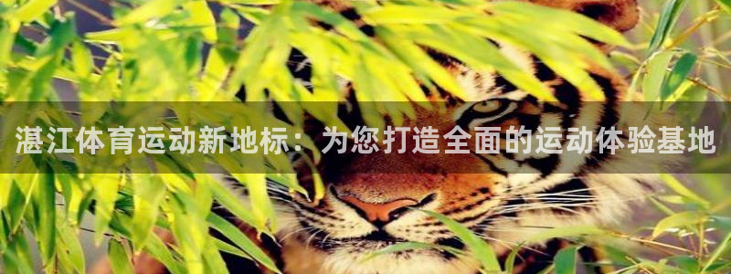 J9官网下载招商电话是多少号码：湛江体育运动新地标：