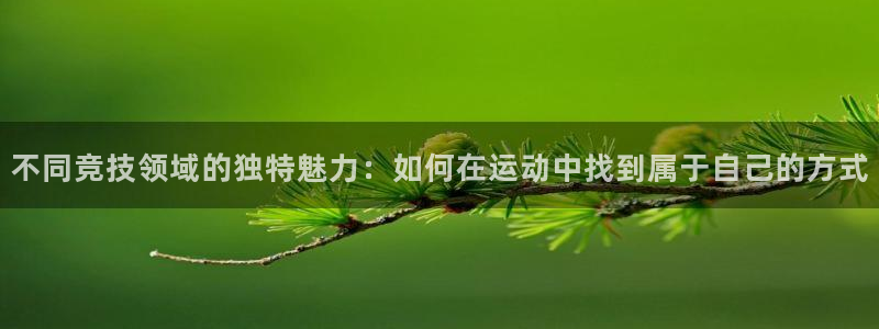 J9官网下载平台是正规平台吗安全吗：不同竞技领域的独