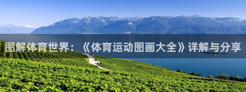 J9官网下载平台注册要钱吗是真的吗：图解体育世界：《