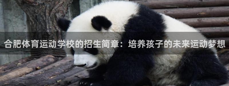 J9官网下载平台APP：合肥体育运动学校的招生简章：
