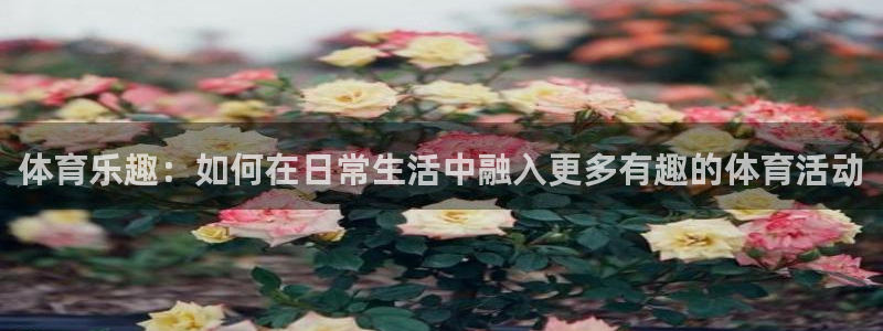 J9官方正版app科技：体育乐趣：如何在日常生活中融
