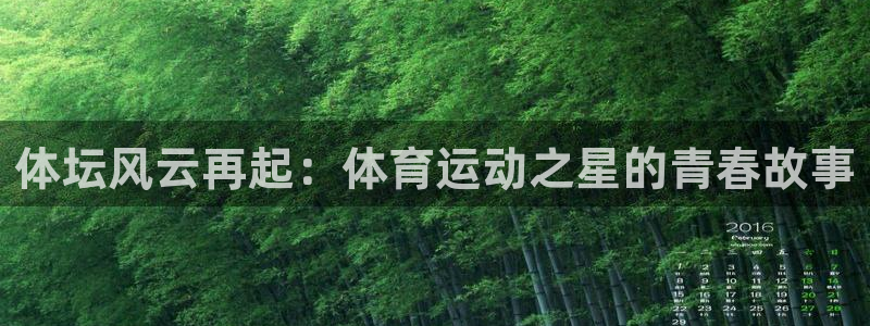 J9官网下载平台注册流程图：体坛风云再起：体育运动之