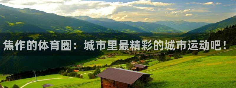 J9官方正版app官网：焦作的体育圈：城市里最精彩的