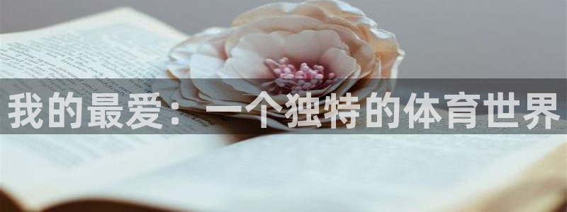 J9官网下载注册：我的最爱：一个独特的体育世界