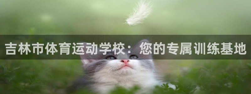 J9官方正版app集团官网首页：吉林市体育运动学校：