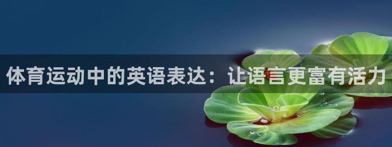 J9官方正版app官方：体育运动中的英语表达：让语言
