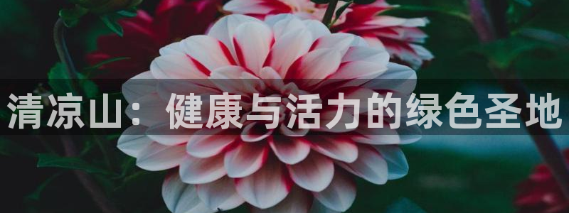 J9官网下载平台是正规平台吗：清凉山：健康与活力的绿