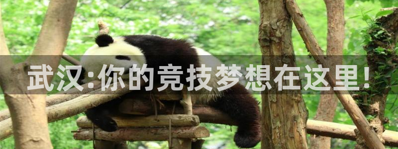J9官方正版app神州：武汉:你的竞技梦想在这里!