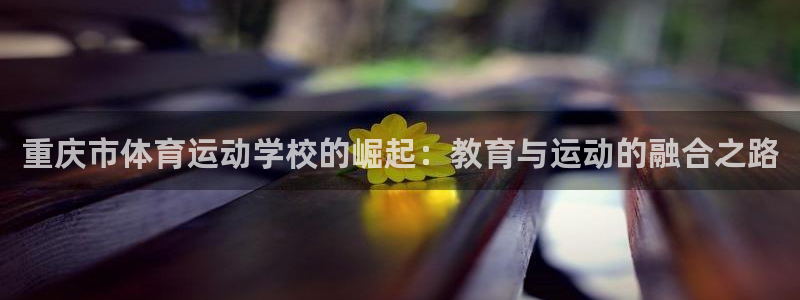 J9官方正版app娱乐代理怎么样：重庆市体育运动学校的崛起：