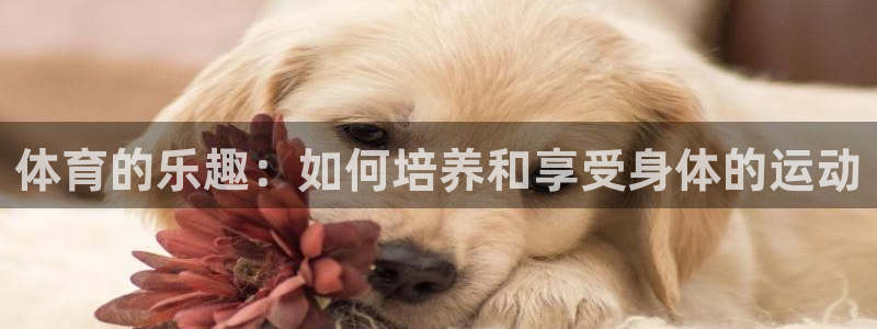 J9官方正版app新能源