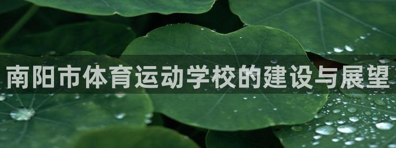 J9官方正版app集团官网网址
