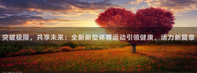 J9官方正版app神州：突破极限，共享未来：全新新型体育运动