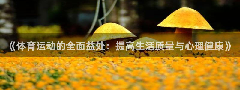 J9官方正版app集团官网网址