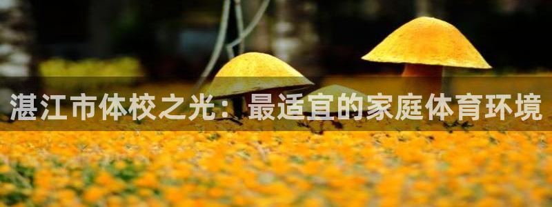 J9官网下载平台注册流程图：湛江市体校之光：最适宜的家庭体育