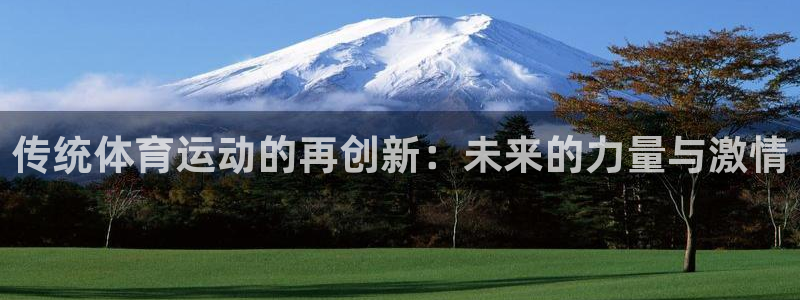 J9官网下载招商电话号码：传统体育运动的再创新：未来的力量与