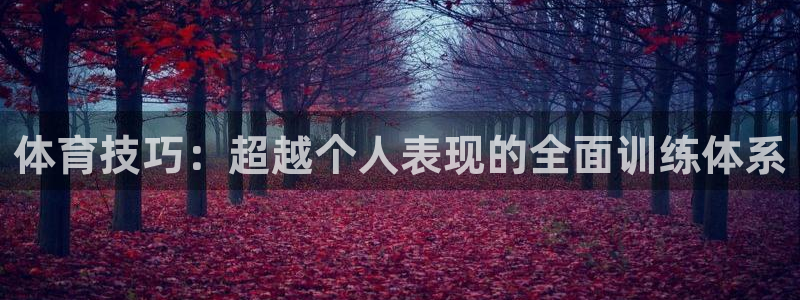 J9官网下载平台注册流程图：体育技巧：超越个人表现的