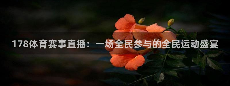 857体育在线直播：178体育赛事直播：一场全民参与的全民运动盛宴