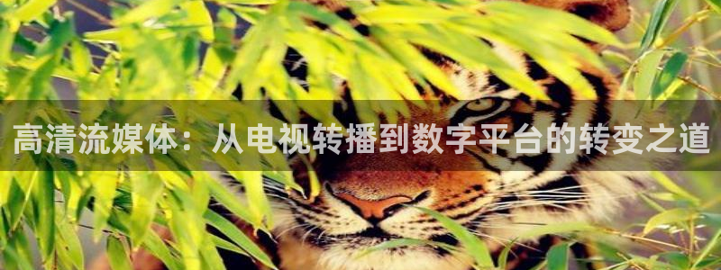 857免费看球直播：高清流媒体：从电视转播到数字平台的转变之道