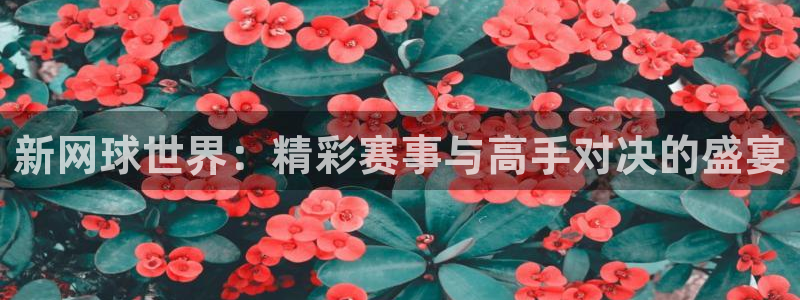 857足球直播高清完整版：新网球世界：精彩赛事与高手对决的盛宴